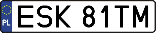 ESK81TM