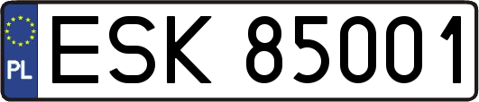 ESK85001