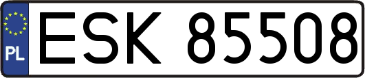 ESK85508