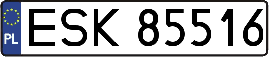ESK85516