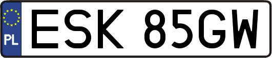 ESK85GW