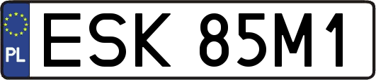 ESK85M1