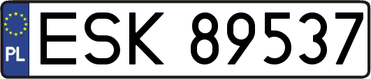 ESK89537