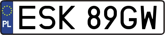 ESK89GW