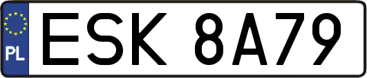 ESK8A79