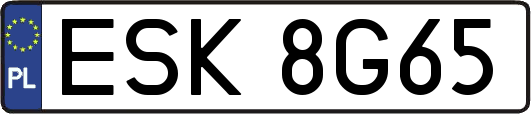 ESK8G65