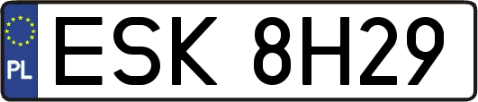 ESK8H29
