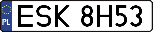 ESK8H53