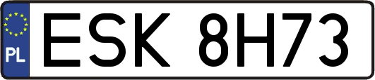 ESK8H73