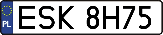 ESK8H75