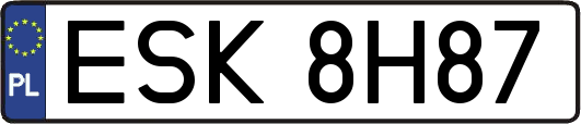 ESK8H87