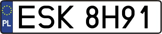 ESK8H91
