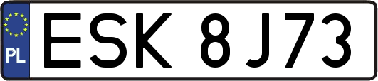 ESK8J73