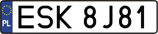 ESK8J81