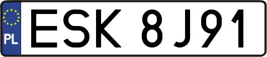 ESK8J91