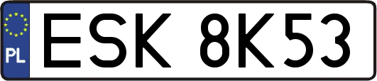 ESK8K53