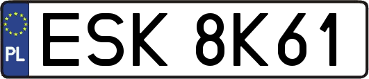 ESK8K61