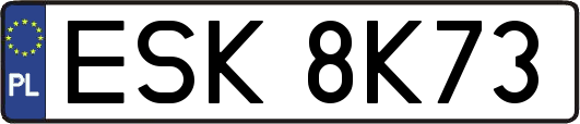 ESK8K73