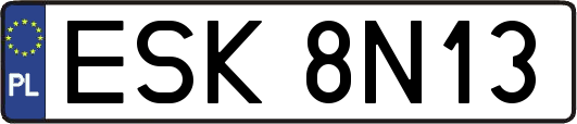 ESK8N13