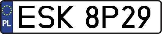 ESK8P29