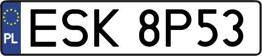 ESK8P53