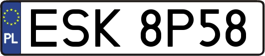 ESK8P58