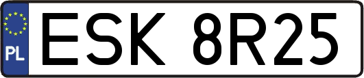 ESK8R25