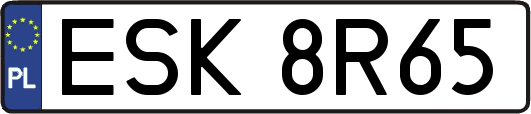 ESK8R65