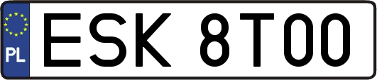 ESK8T00