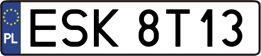 ESK8T13