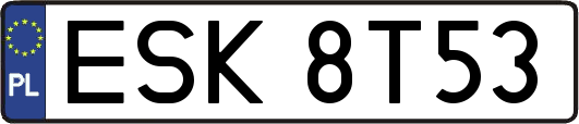ESK8T53