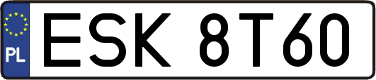 ESK8T60