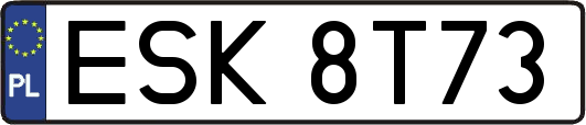 ESK8T73
