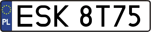ESK8T75
