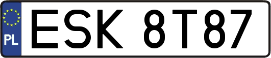ESK8T87