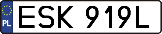 ESK919L
