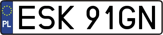 ESK91GN