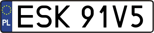 ESK91V5