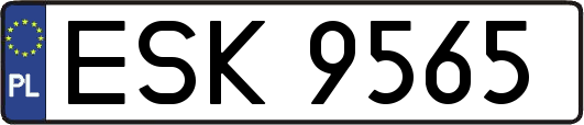 ESK9565