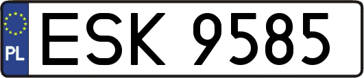 ESK9585