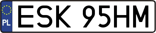 ESK95HM