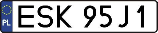 ESK95J1