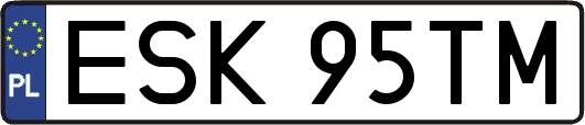 ESK95TM