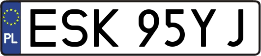 ESK95YJ