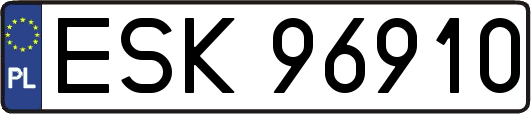 ESK96910