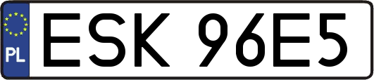 ESK96E5