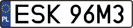 ESK96M3