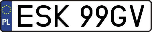 ESK99GV