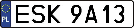 ESK9A13