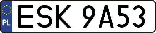 ESK9A53